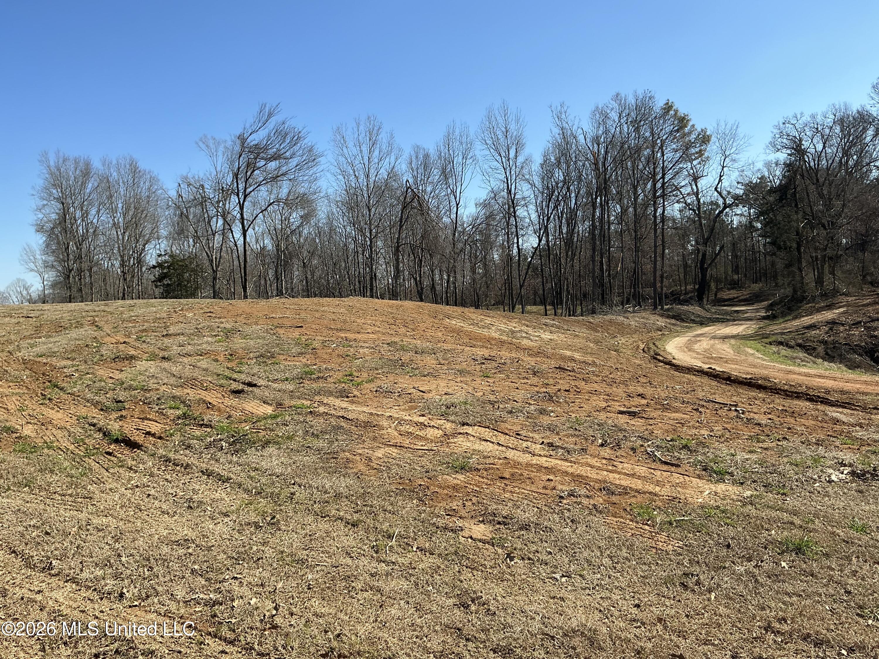 Norwood Road Carrollton, MS 38917 - Photo 7 of 28 IMG_0670