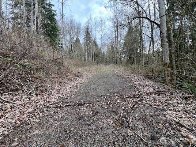 318 Martins Bluff Road Kalama, WA 98625 - Photo 12 of 23 Gallery Image 12