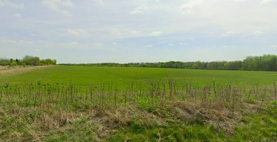 Tbd Taylor Road Howe, TX 75459 - Photo 4 of 4