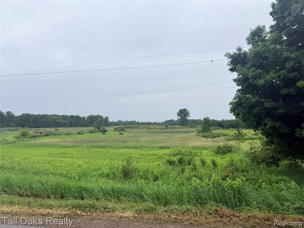 761 East Millington Road Mayville, MI 48744 - Photo 3 of 4