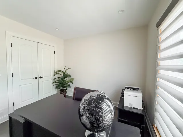 a view of a potted plant with a bench