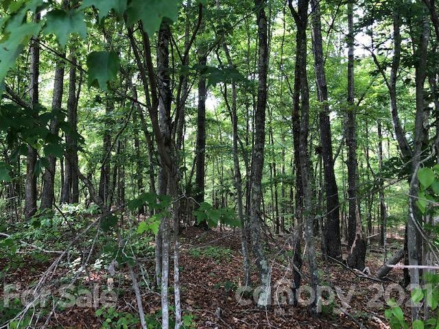 0 High Rock Road, Unit TRACT 3 Gold Hill, NC 28071 - Photo 1 of 13 Gallery Image 1