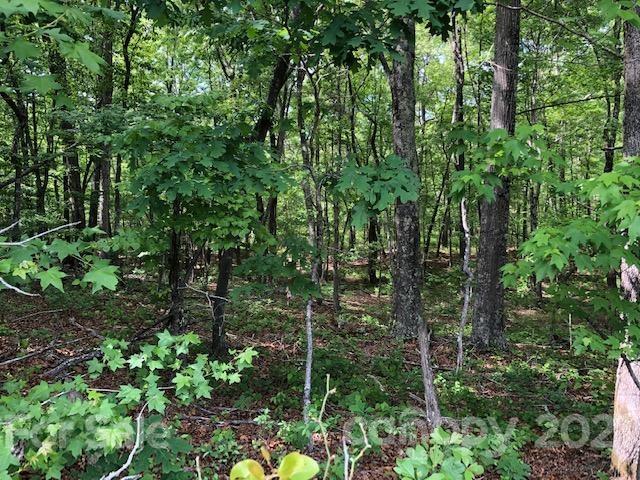 0 High Rock Road, Unit TRACT 3 Gold Hill, NC 28071 - Photo 2 of 13 Gallery Image 2