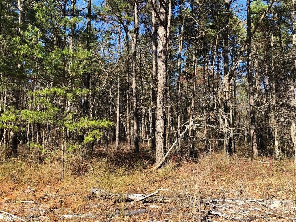 0 High Rock Road, Unit TRACT 3 Gold Hill, NC 28071 - Photo 5 of 13 Gallery Image 5