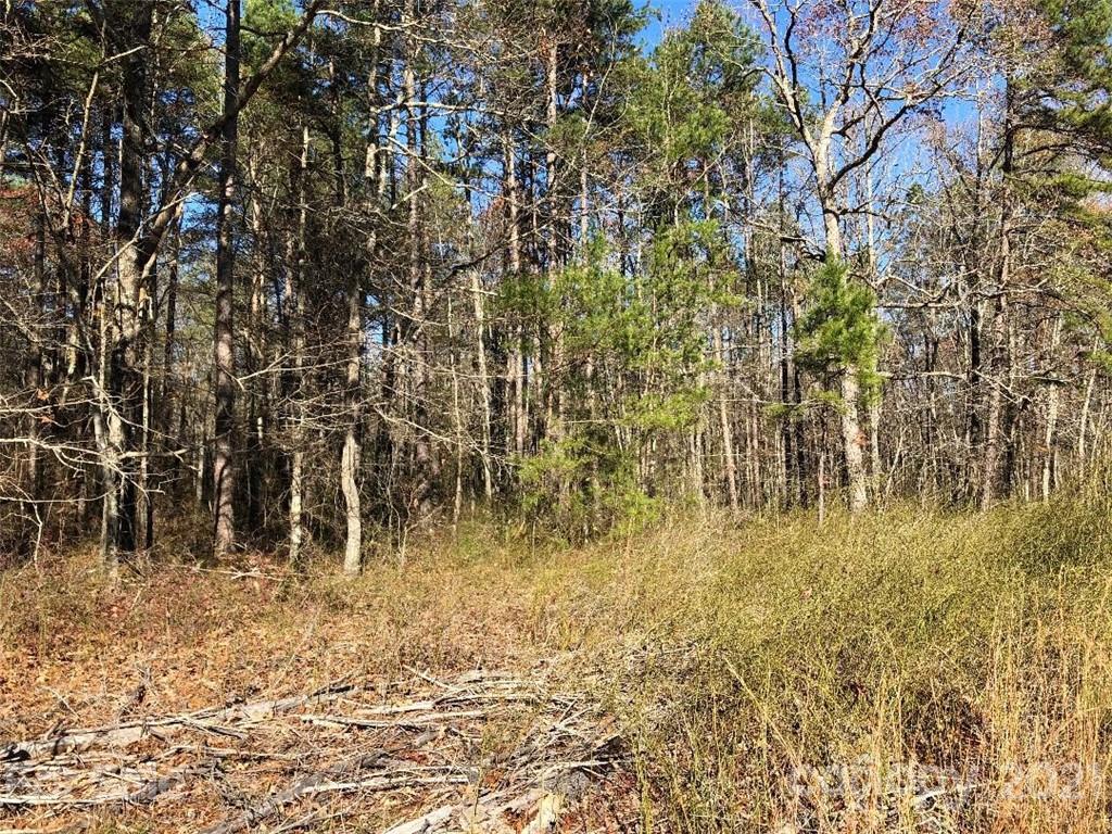0 High Rock Road, Unit TRACT 3 Gold Hill, NC 28071 - Photo 6 of 13 Gallery Image 6