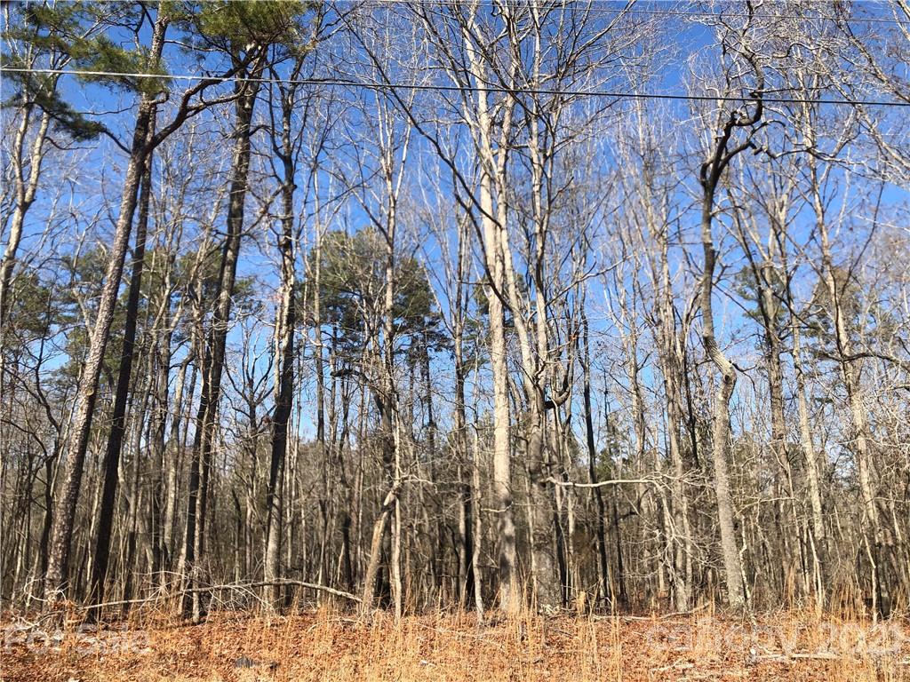 0 High Rock Road, Unit TRACT 3 Gold Hill, NC 28071 - Photo 7 of 13 Gallery Image 7