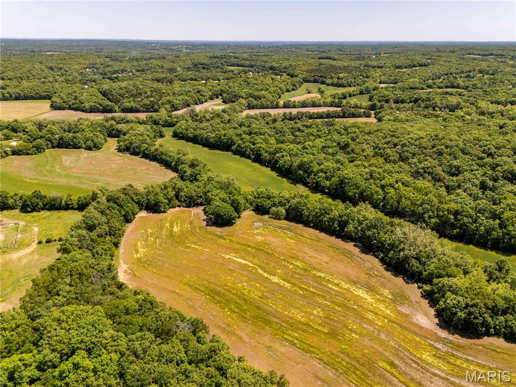 2126 Krenning Road Beaufort, MO 63013 - Photo 72 of 99