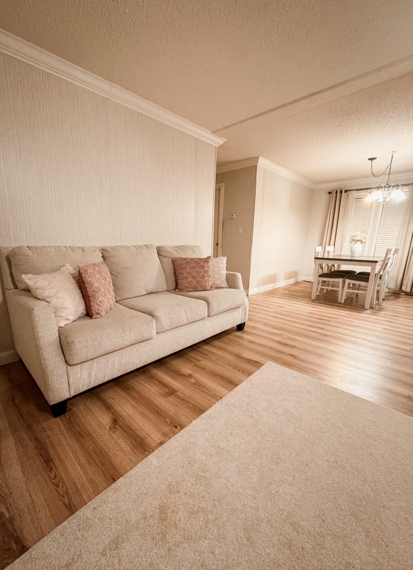 785 Lone Star Road Cameron, SC 29030 - Photo 5 of 19 Living Room 2