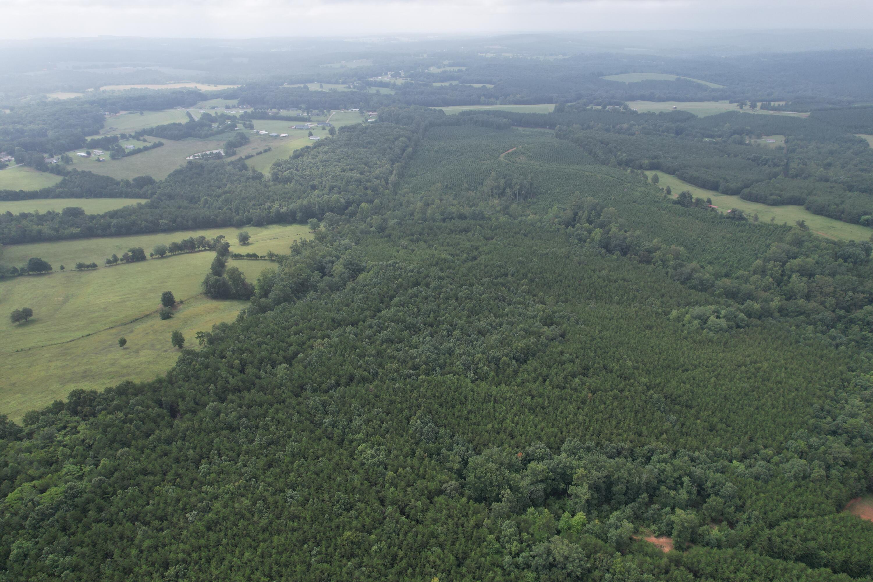 0 Paisley Road Gretna, VA 24557 - Photo 14 of 48 DJI_0096