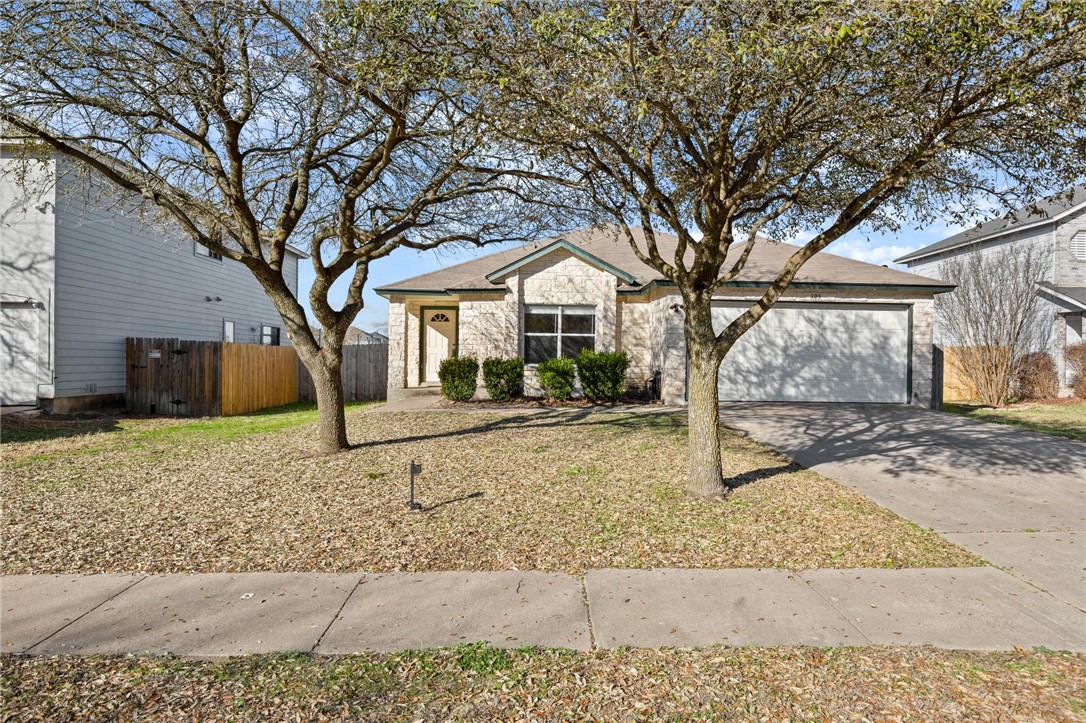 a view of a yard with a large tree
