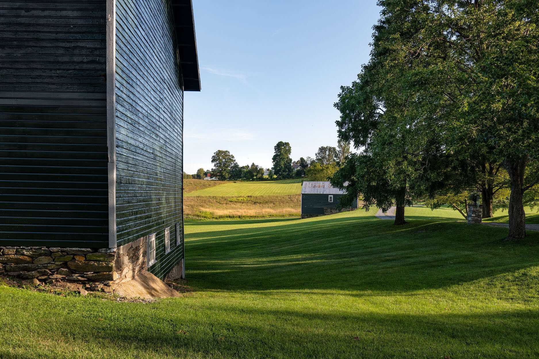 140 Sunset Trail Clinton, NY 12514 - Photo 16 of 30 a view of a backyard with a garden and plants