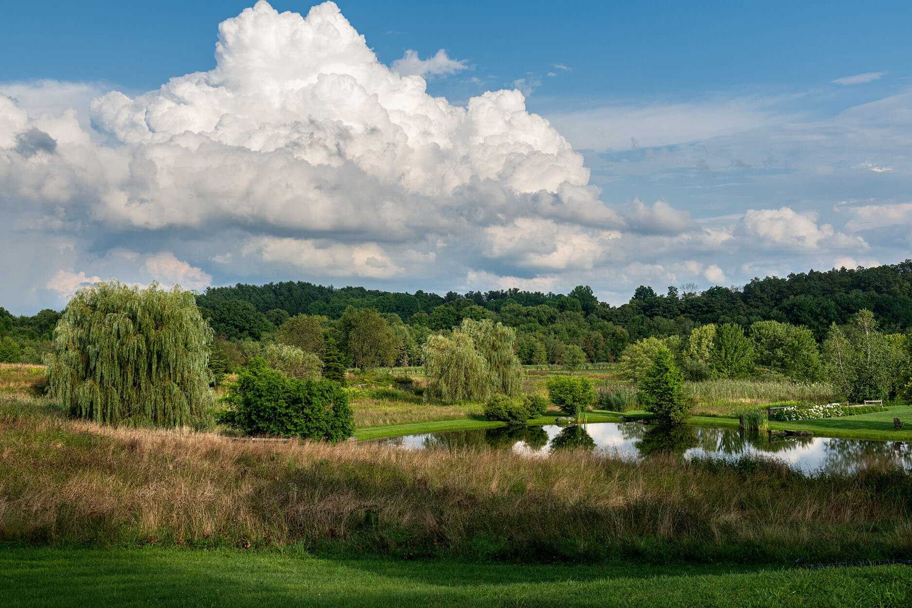 140 Sunset Trail Clinton, NY 12514 - Photo 26 of 30 a view of lake with green space