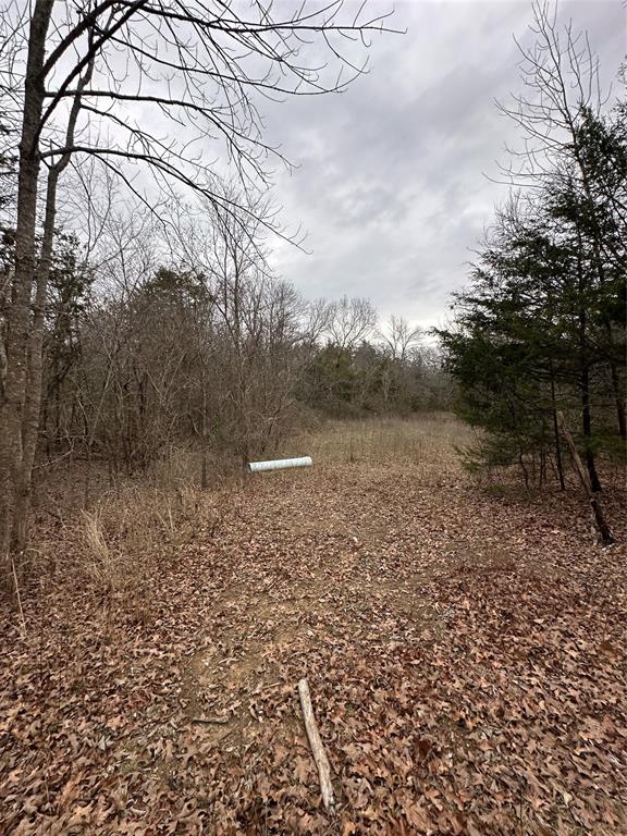 637 Munson Street Denison, TX 75021 - Photo 11 of 16 View of undeveloped land