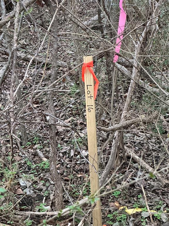 637 Munson Street Denison, TX 75021 - Photo 12 of 16 Exterior view