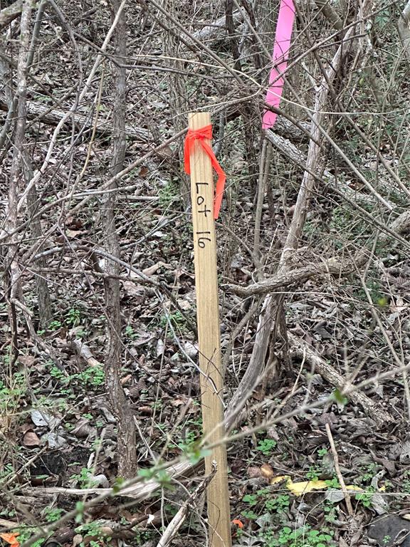 637 Munson Street Denison, TX 75021 - Photo 13 of 16 Exterior view