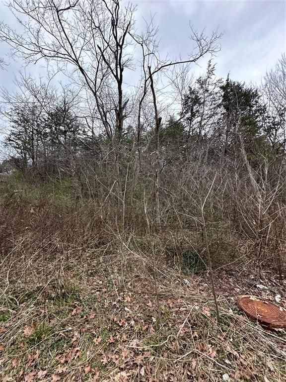 637 Munson Street Denison, TX 75021 - Photo 15 of 16 View of local wilderness