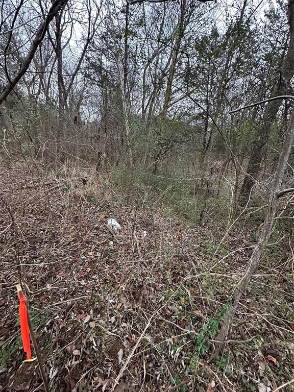637 Munson Street Denison, TX 75021 - Photo 6 of 16 View of undeveloped land