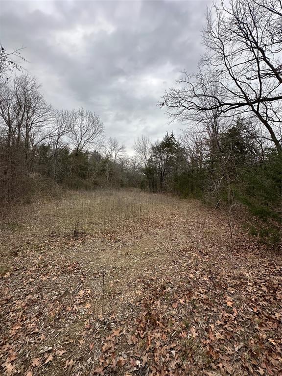 637 Munson Street Denison, TX 75021 - Photo 9 of 16 View of nature