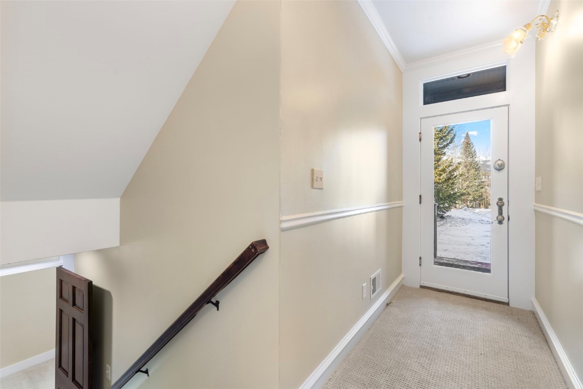 192 Wellington Road Breckenridge, CO 80424 - Photo 25 of 50 Entryway with carpet and ornamental molding
