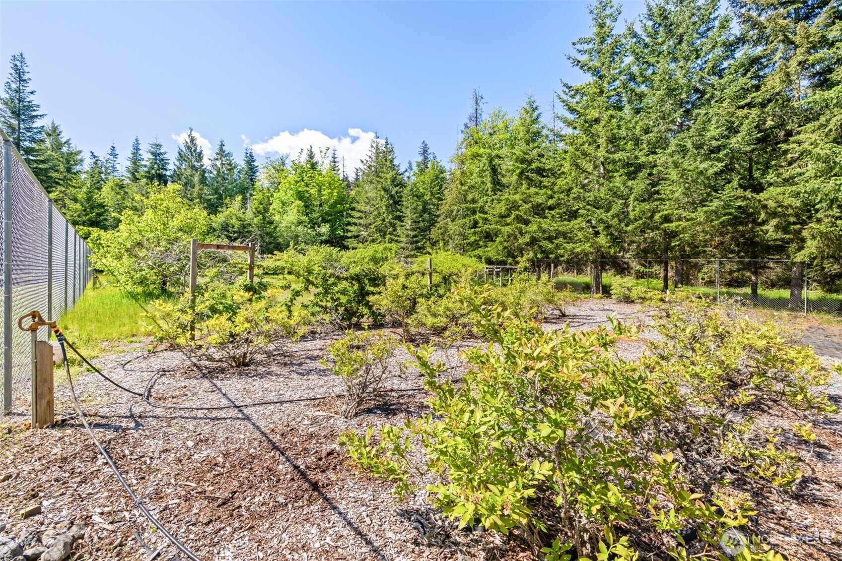 5611 South Doss Road Port Angeles, WA 98362 - Photo 25 of 40