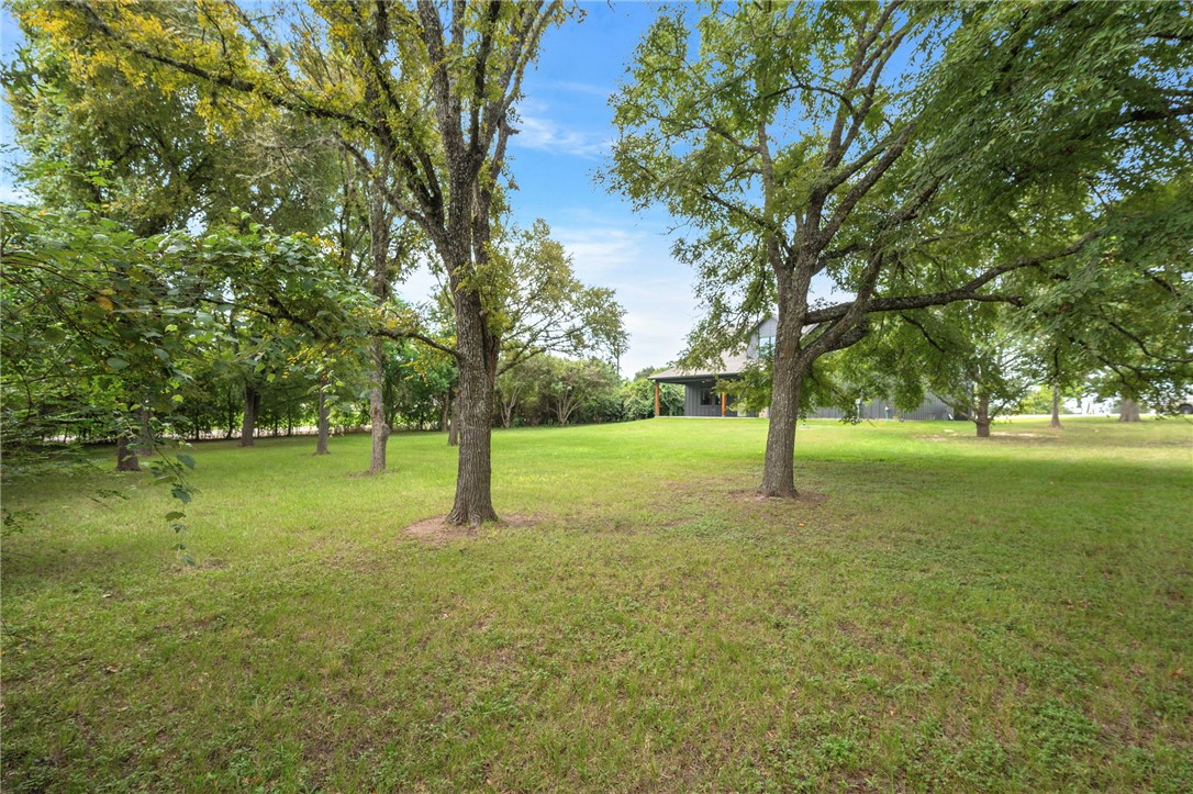 13291 Hopes Creek Road College Station, TX 77845 - Photo 35 of 45 View of grassy yard with view of scattered trees