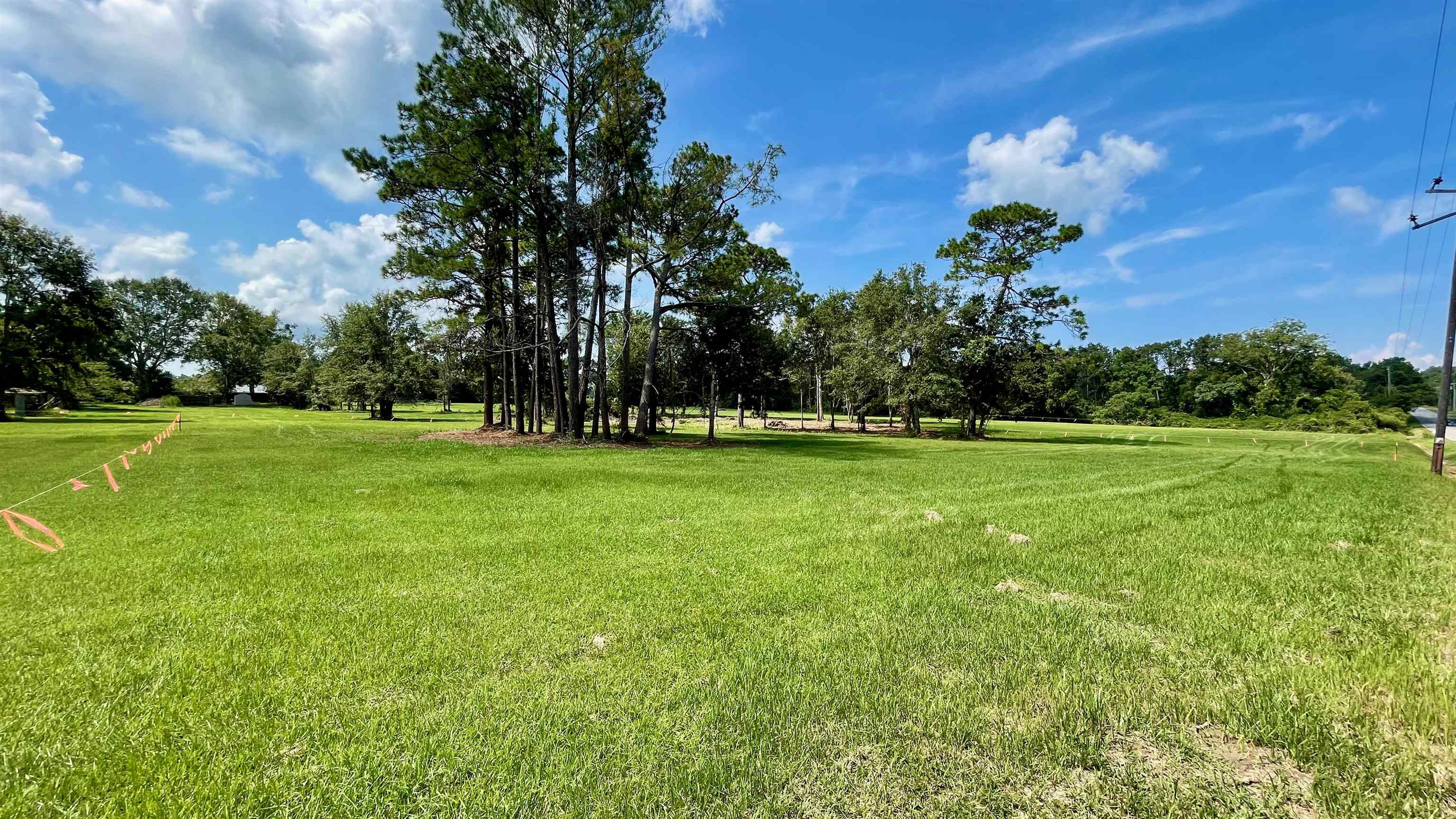 0 Gayfer Road Extension Daphne, AL 36526 - Photo 2 of 3
