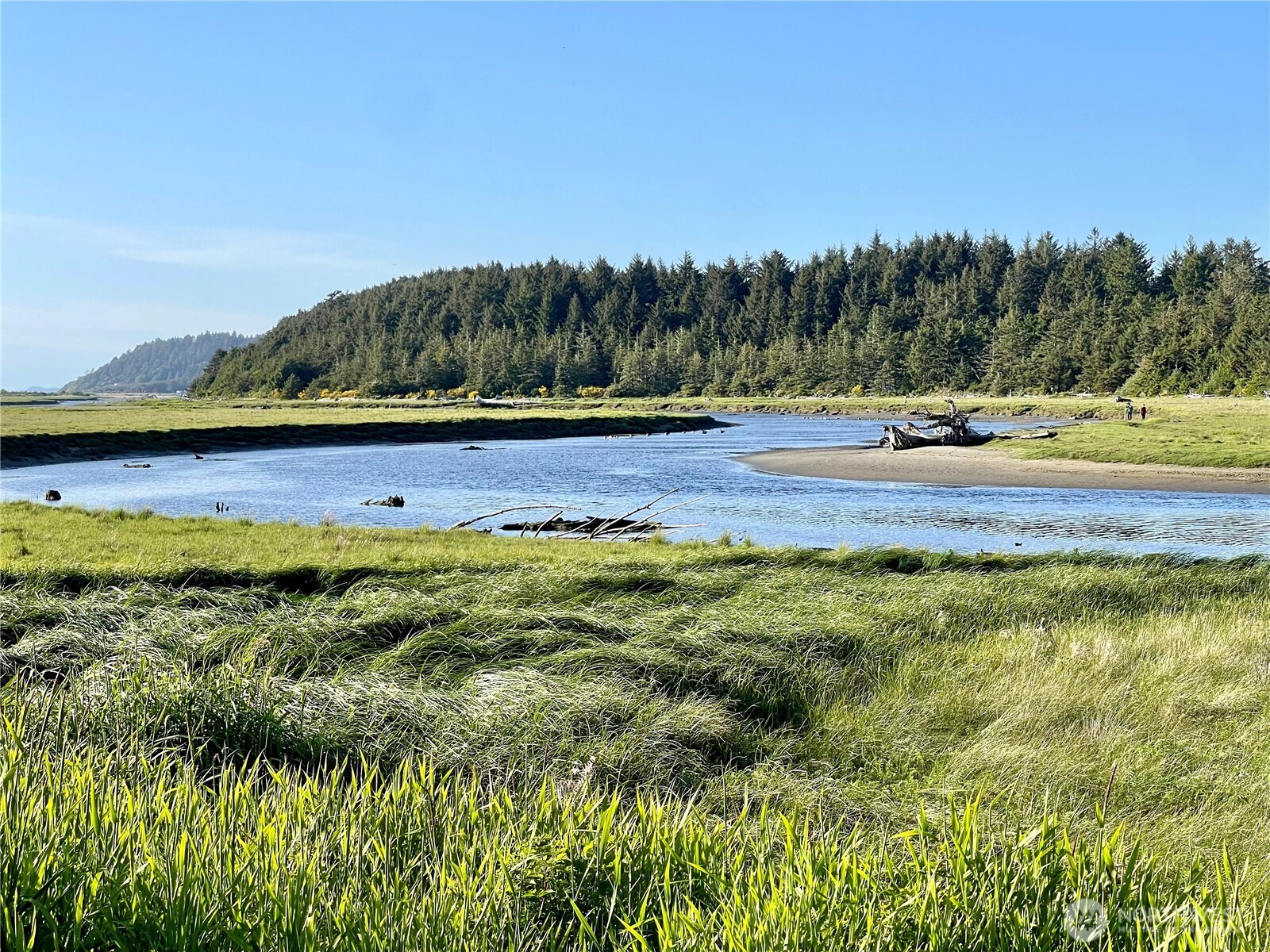712 Copalis Beach Road Copalis Beach, WA 98535 - Photo 3 of 38 Gallery Image 3