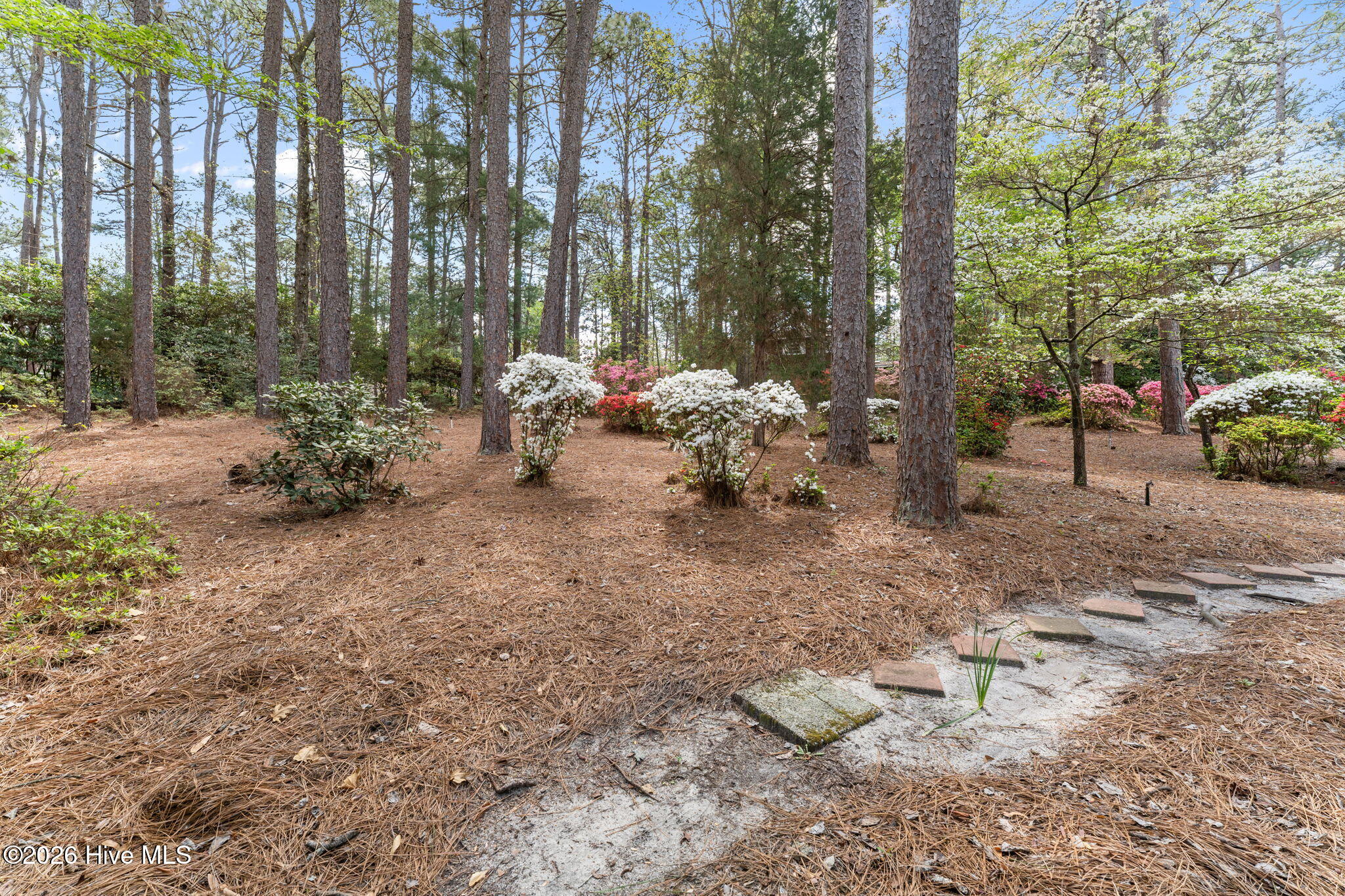 1055 Inverness Road Southern Pines, NC 28387 - Photo 41 of 54 Back