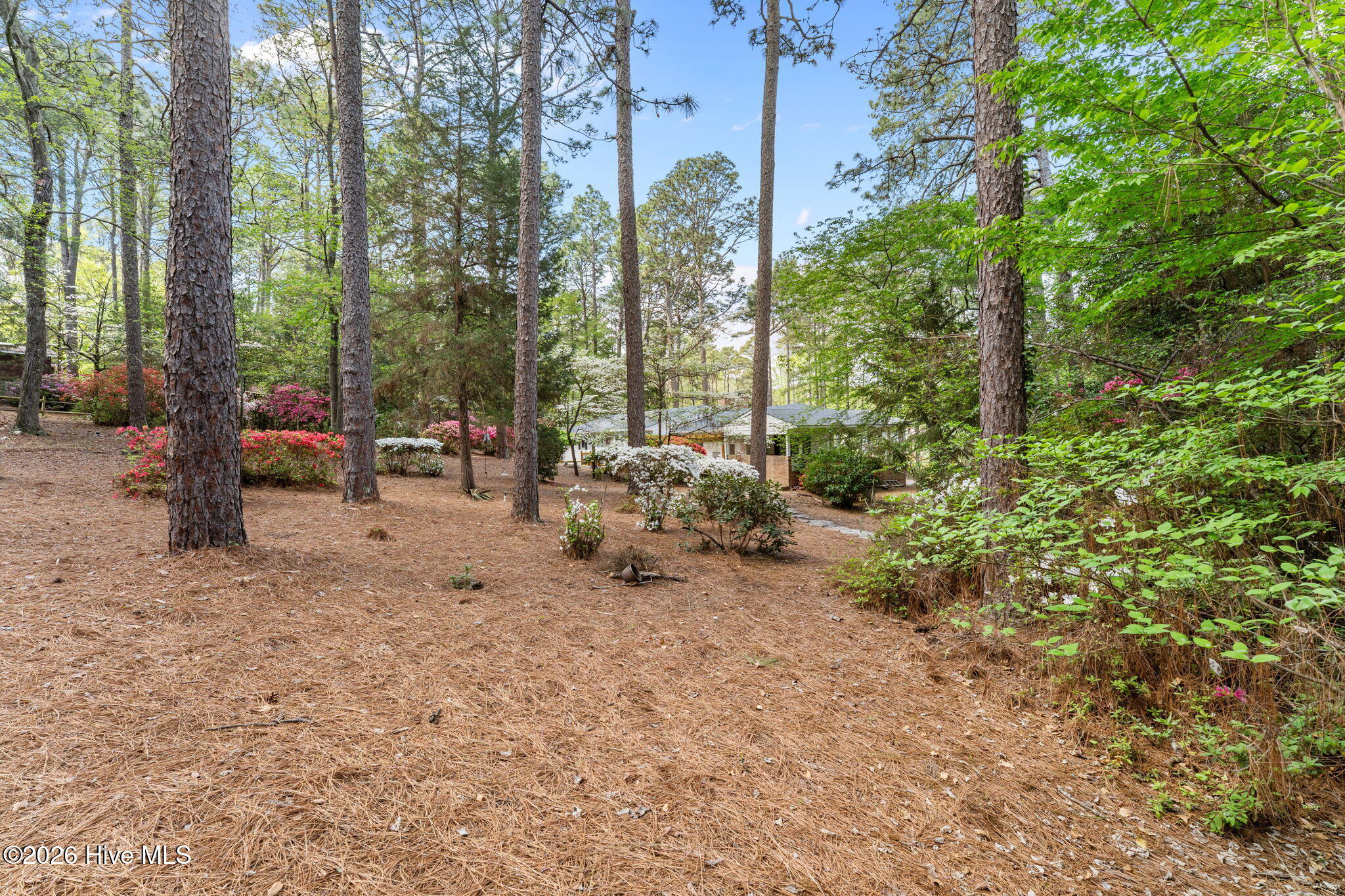 1055 Inverness Road Southern Pines, NC 28387 - Photo 42 of 54 Back