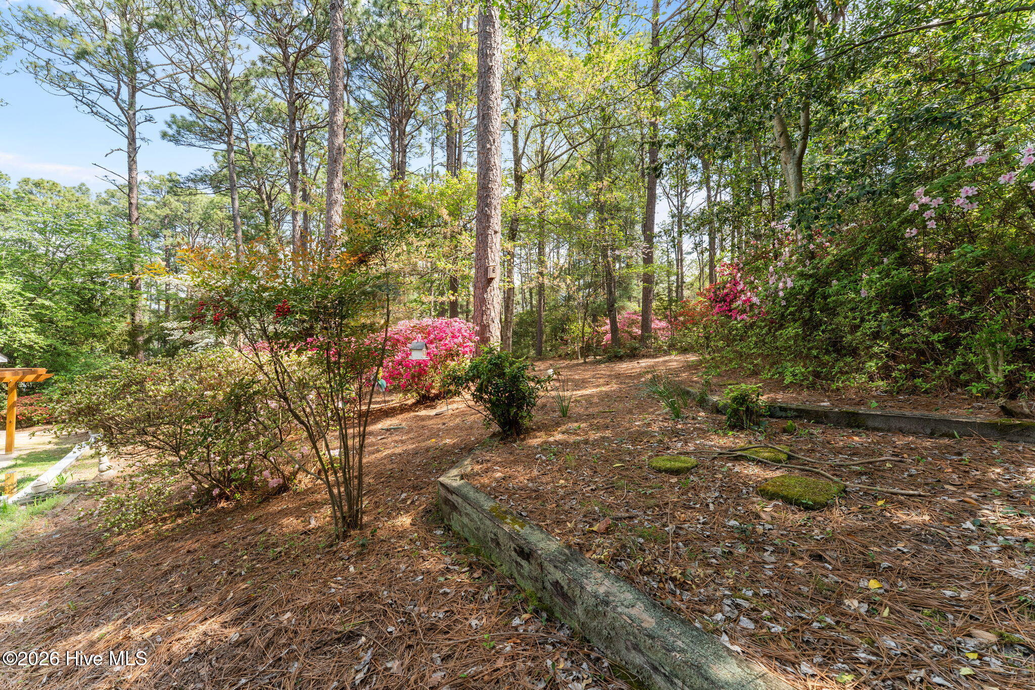 1055 Inverness Road Southern Pines, NC 28387 - Photo 44 of 54 Back