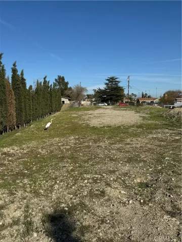 a view of a field with an ocean