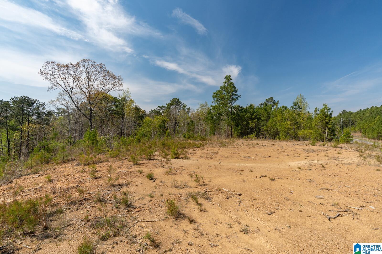 Stillwaters Trail, Unit 180 Sylacauga, AL 35151 - Photo 5 of 30