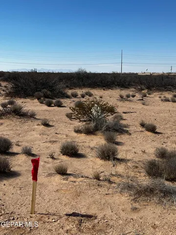 a view of a lake with a beach