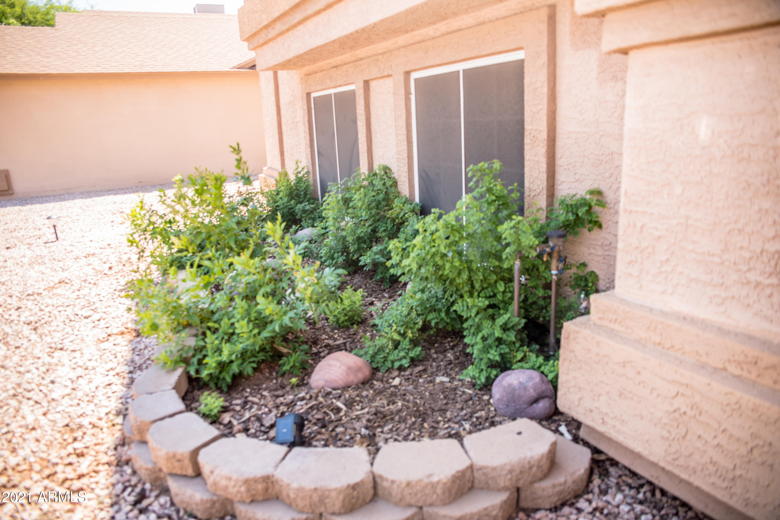 714 South Riata Street Gilbert, AZ 85296 - Photo 3 of 40 Front Flower Bed