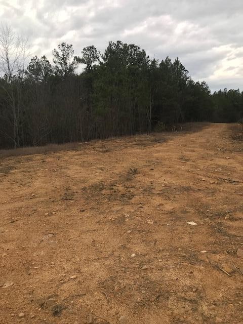 0 Camp Agape Road Benton, TN 37307 - Photo 11 of 16 Gallery Image 11