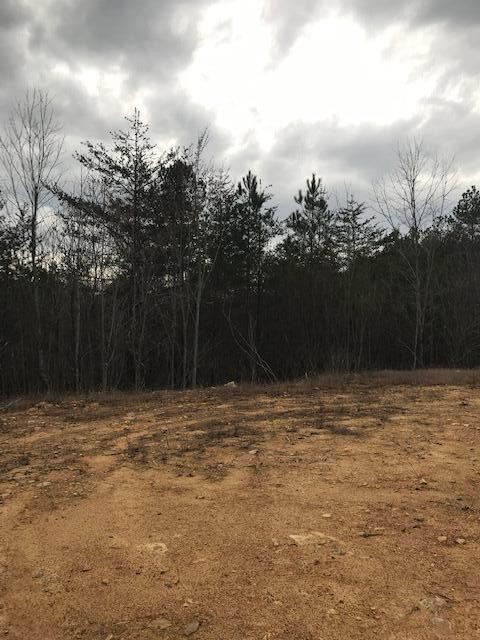 0 Camp Agape Road Benton, TN 37307 - Photo 12 of 16 Gallery Image 12