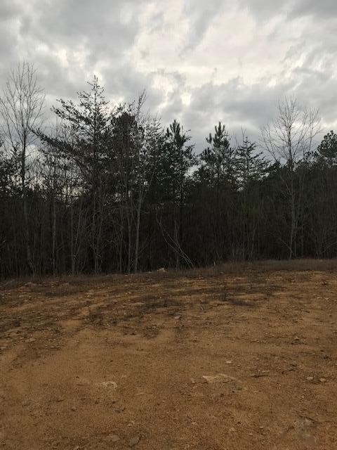 0 Camp Agape Road Benton, TN 37307 - Photo 13 of 16 Gallery Image 13