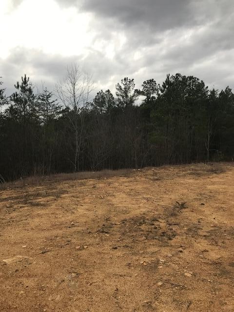 0 Camp Agape Road Benton, TN 37307 - Photo 14 of 16 Gallery Image 14