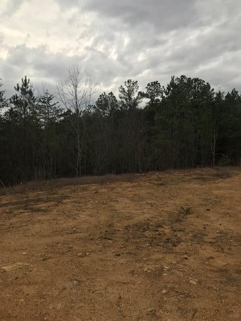 0 Camp Agape Road Benton, TN 37307 - Photo 15 of 16 Gallery Image 15