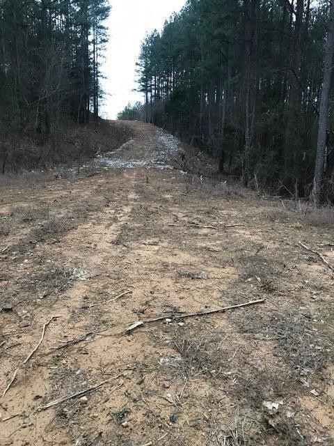 0 Camp Agape Road Benton, TN 37307 - Photo 8 of 16 Gallery Image 8