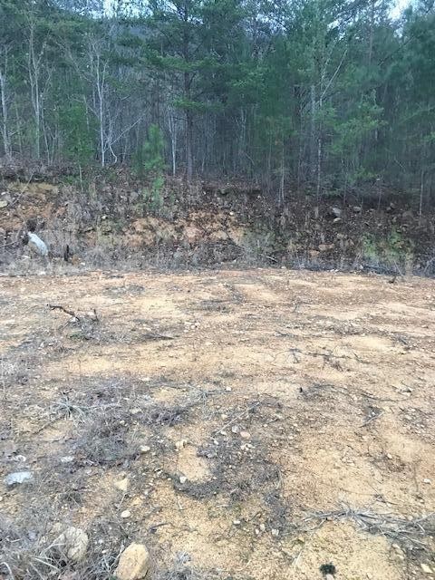 0 Camp Agape Road Benton, TN 37307 - Photo 9 of 16 Gallery Image 9