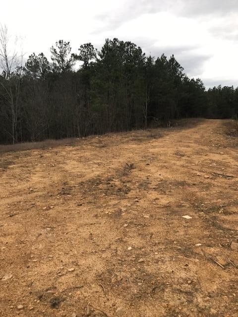 0 Camp Agape Road Benton, TN 37307 - Photo 10 of 16 Gallery Image 10