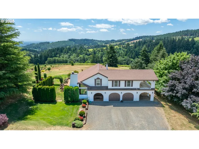 a aerial view of a house with a yard plants and large tree