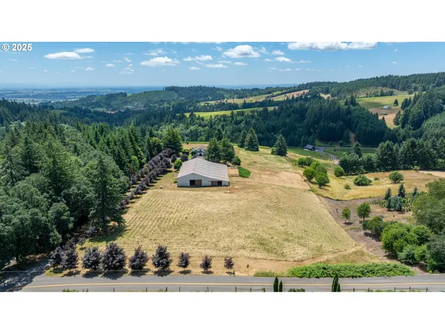 a view of a swimming pool with a yard and plants