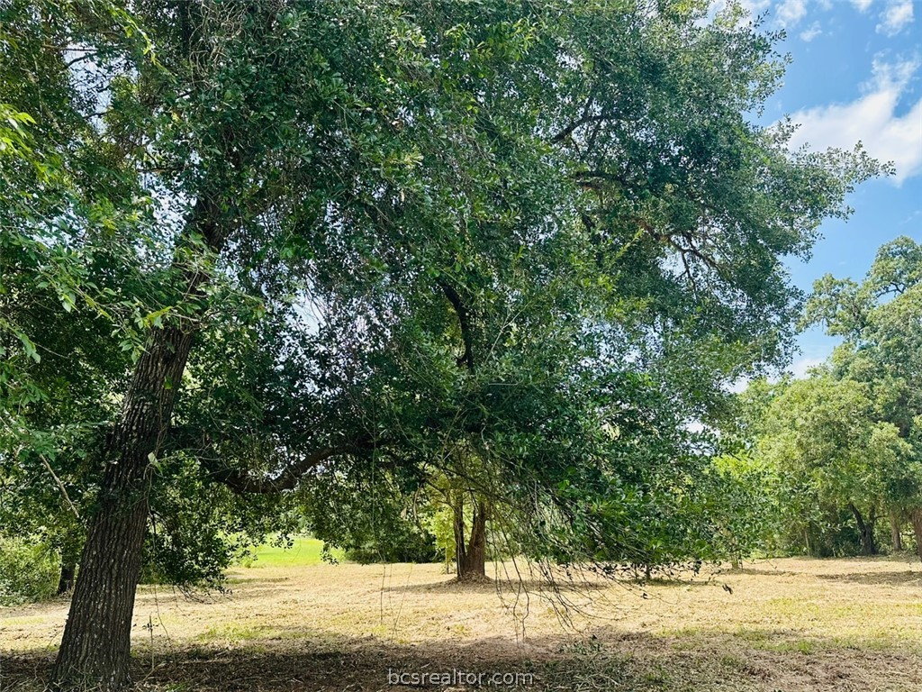 9805 Durham Road Iola, TX 77861 - Photo 11 of 19