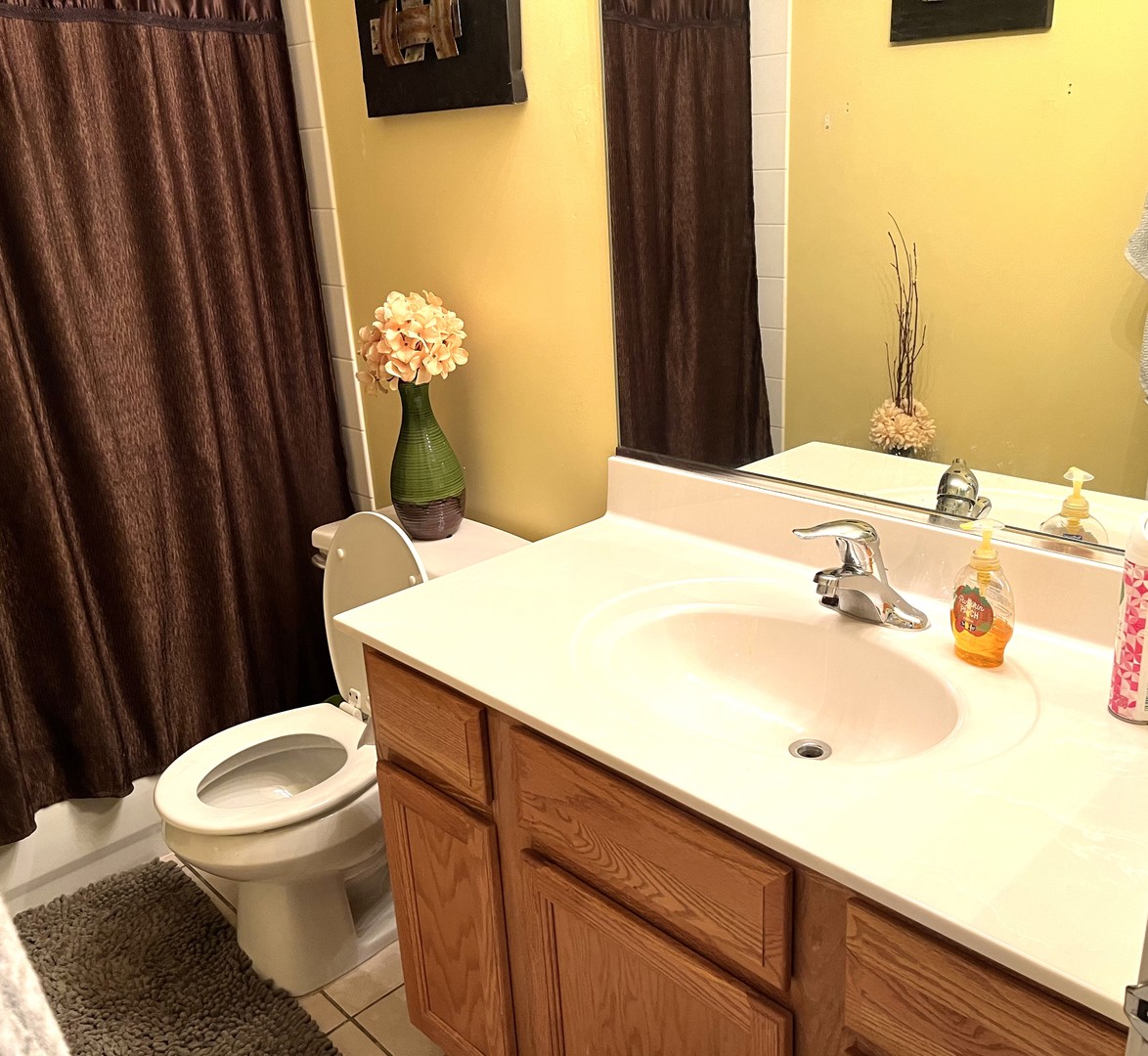 2402 Georgetown Circle Aurora, IL 60503 - Photo 22 of 23 a bathroom with a sink and mirror with toilet