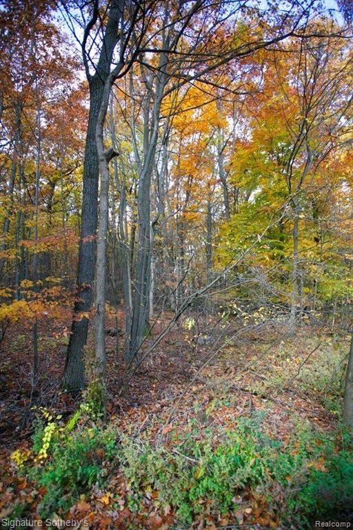 9151 Fox Hollow Road Clarkston, MI 48348 - Photo 23 of 25 Woods