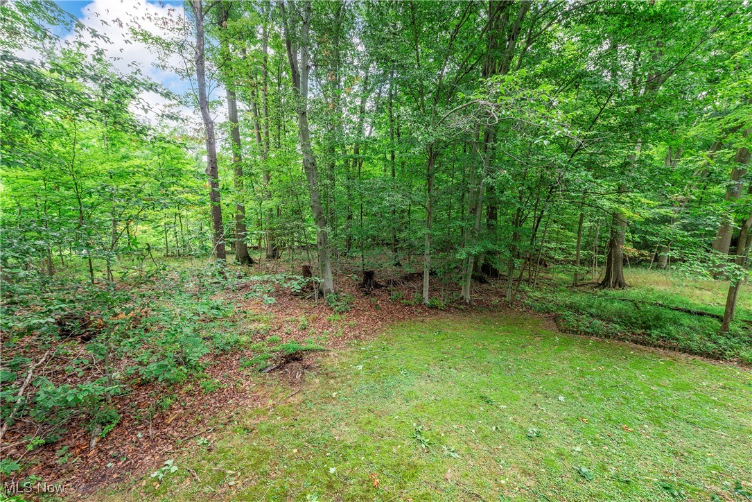 10221 Barr Road Brecksville, OH 44141 - Photo 31 of 31