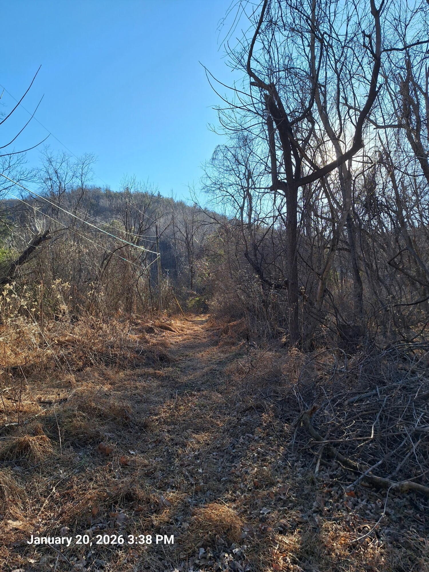 5378 Franklin Road Roanoke, VA 24014 - Photo 2 of 10 a view of mountain view with lots of trees