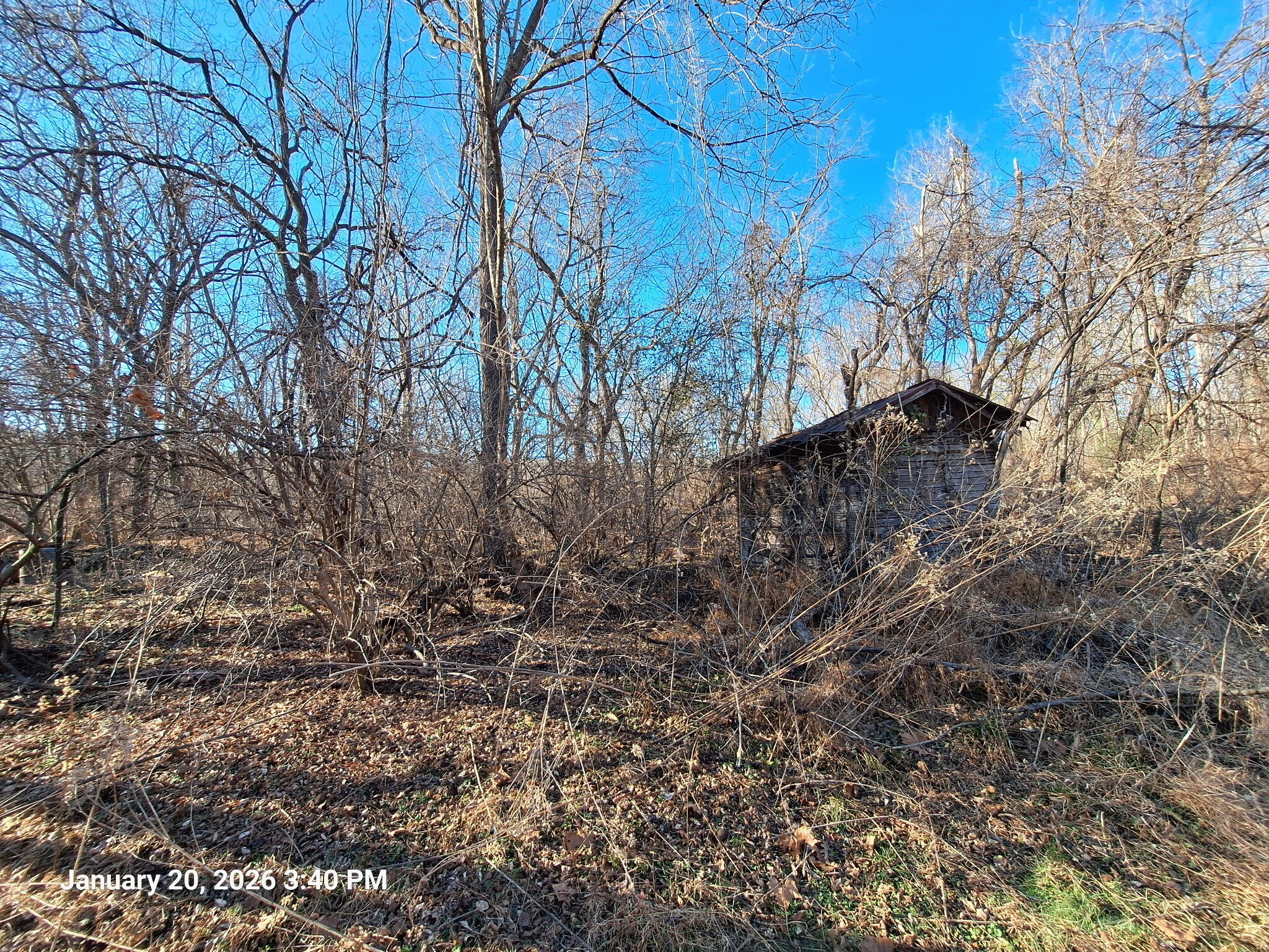 5378 Franklin Road Roanoke, VA 24014 - Photo 3 of 10 a view of a yard